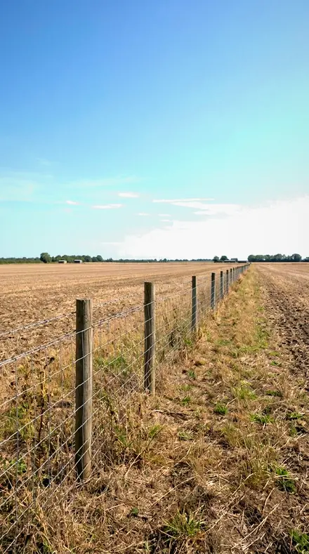 Graded with All-Weather Light: The field after the sun went